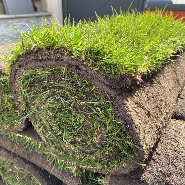 Gazon en rouleaux Les gazons parisiens