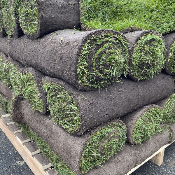 Gazon en rouleaux Les gazons parisiens